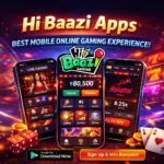 Hibaazi Casino APK