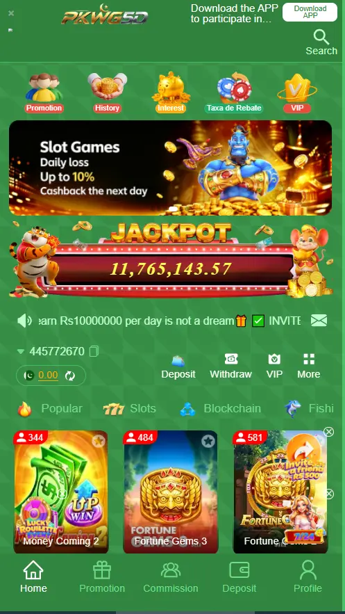 PKWG5D game,